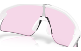 Oakley Stunt Devil Matte White Prizm Low Light