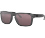 Päikeseprillid OAKLEY Holbrook Steel Collection Prizm Daily Polarized Steel Collection Prizm Daily Polarized